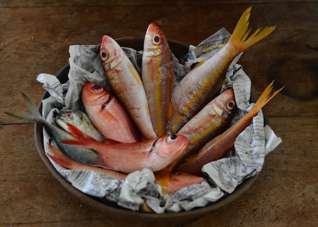 Miss Natïaa 24082014-Poissons